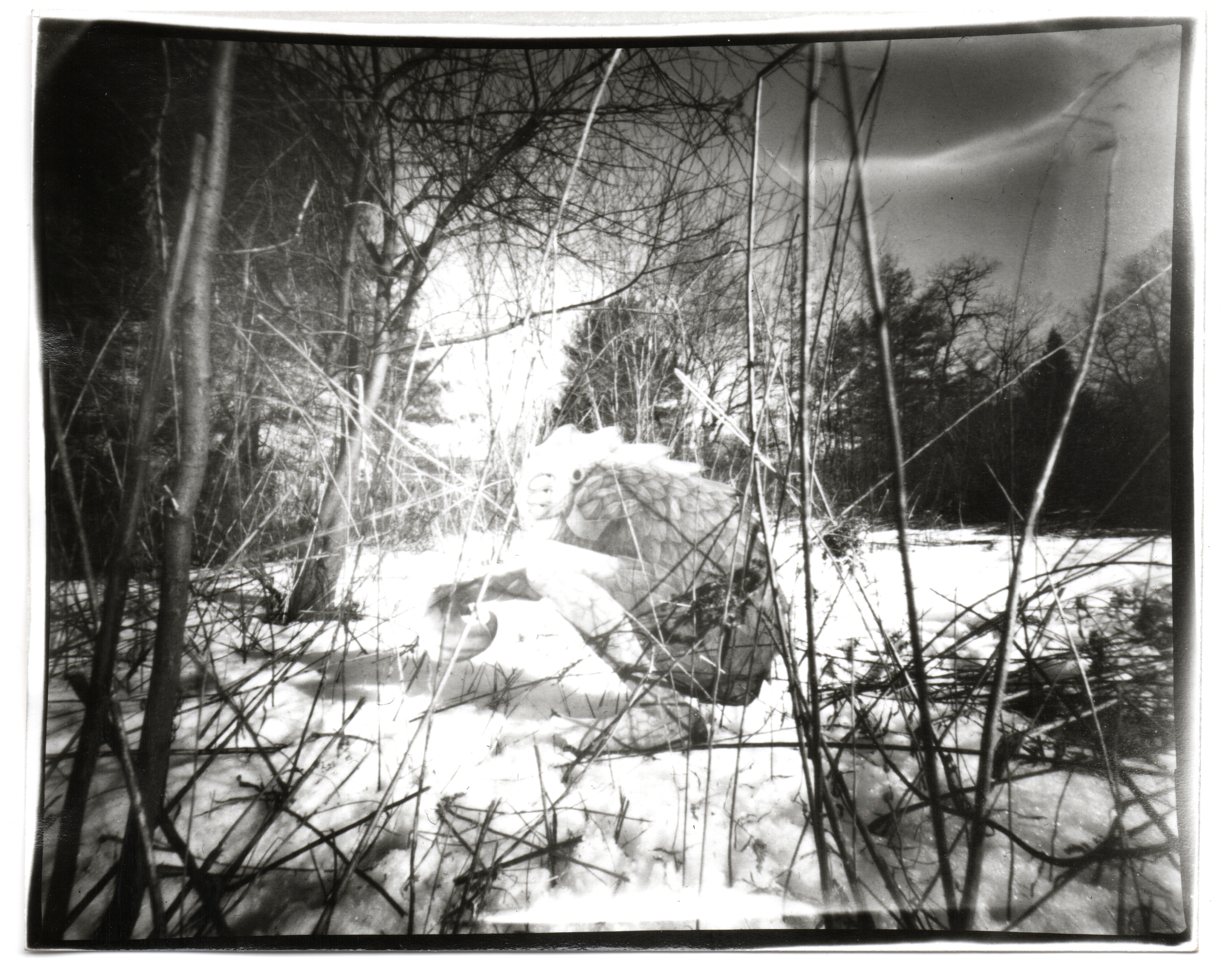 Crouching Snow Beast | 4x5”, Pinhole exposure on direct positive paper, 2024