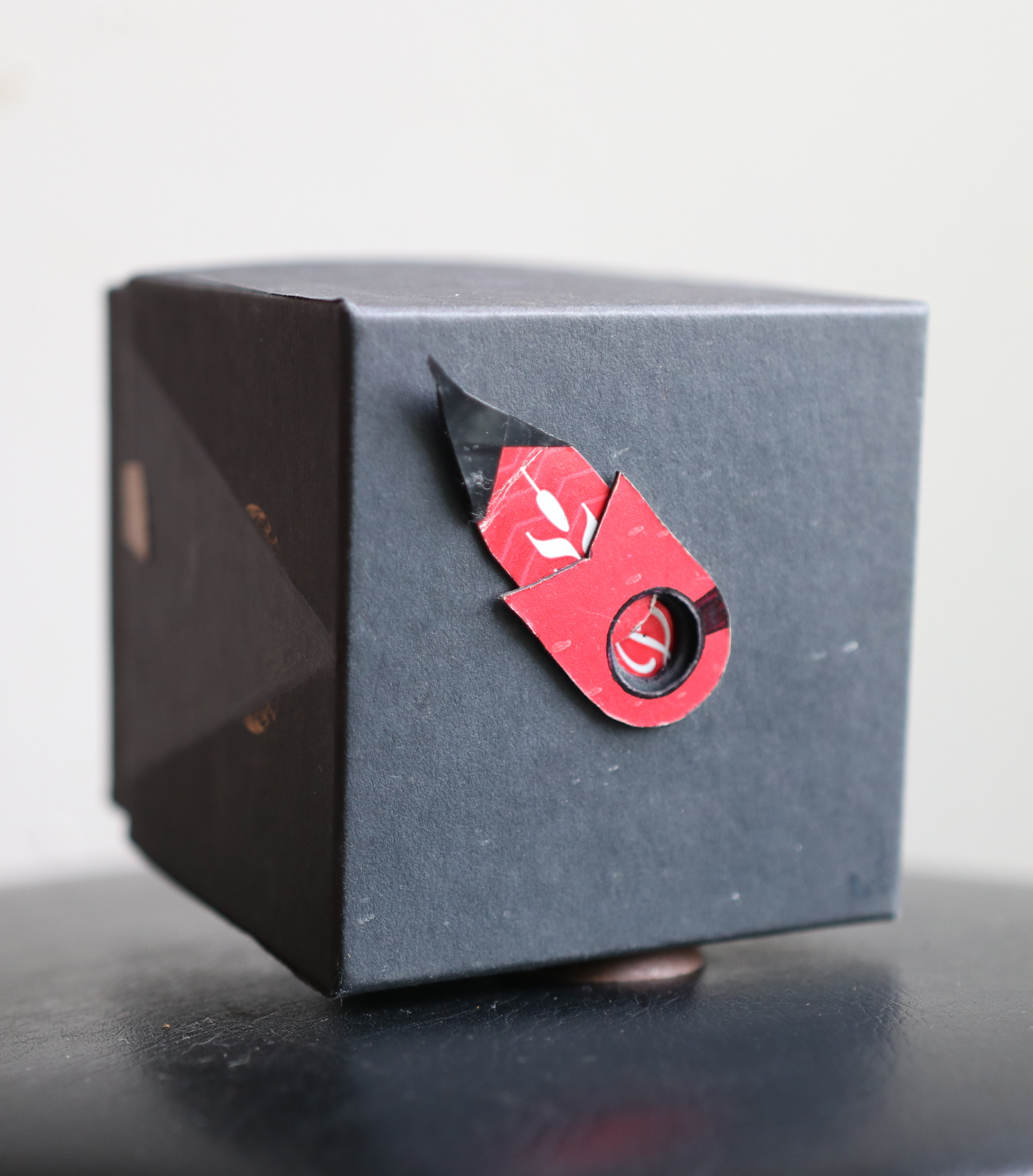 first pinhole camera, made of things in the recycling bin. 2022.